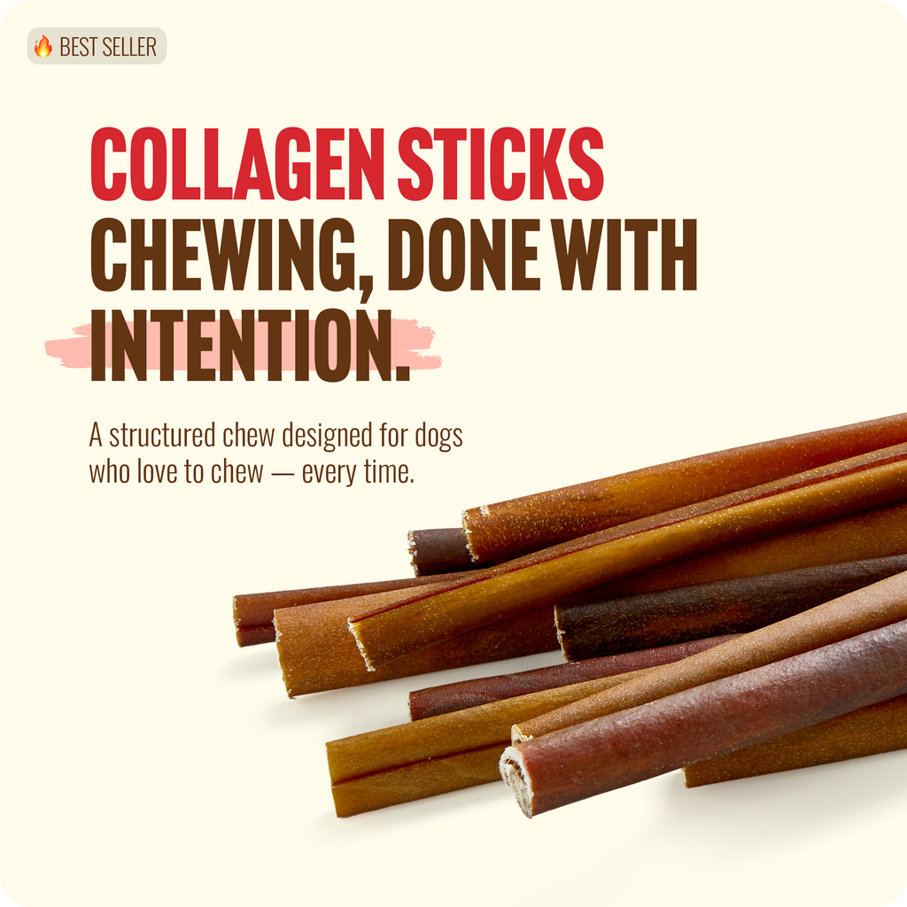 Natural Farm collagen sticks pile showing variety of natural colours and firm uniform texture for consistent dog chewing