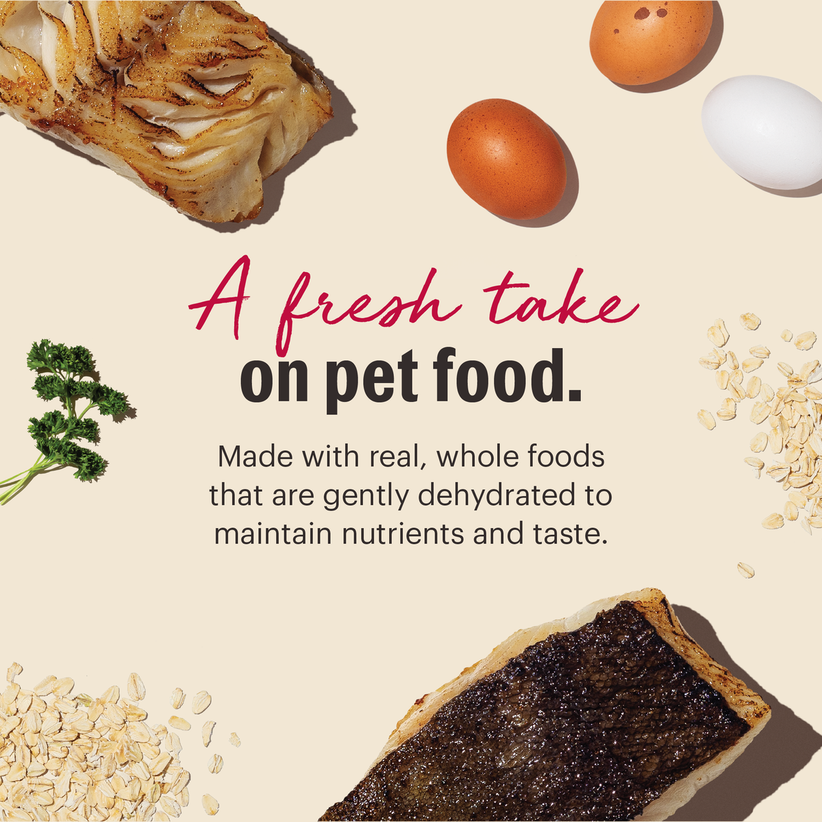 Whole Grain Fish dehydrated dog food from The Honest Kitchen