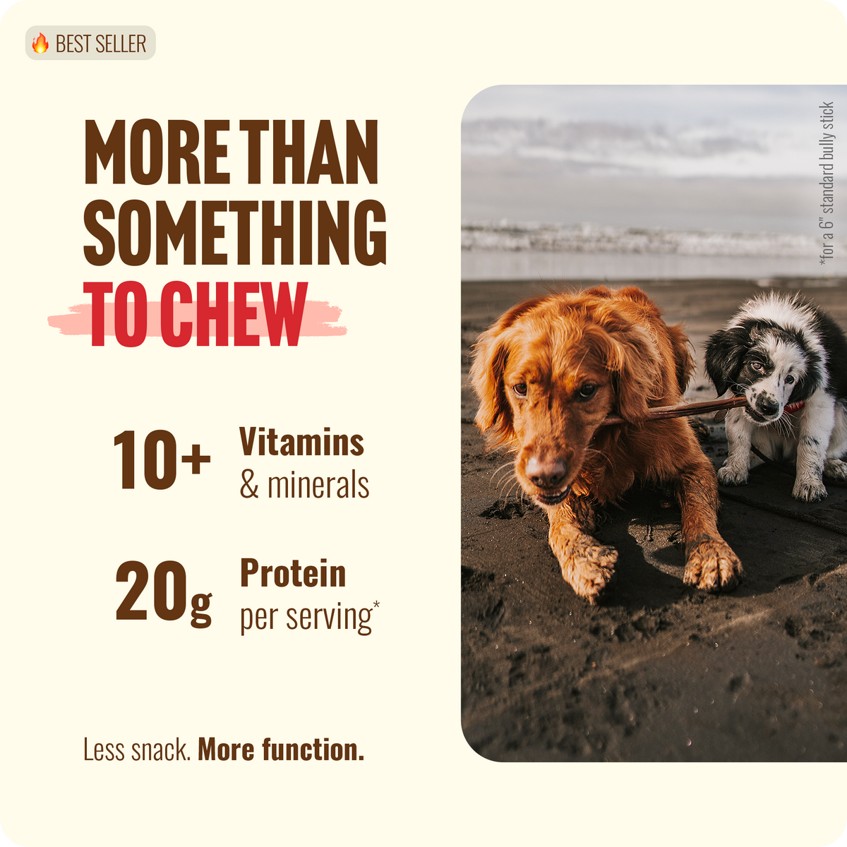 Golden Retriever and Border Collie playing with Natural Farm bully stick on beach — functional chew with 20g protein per serving