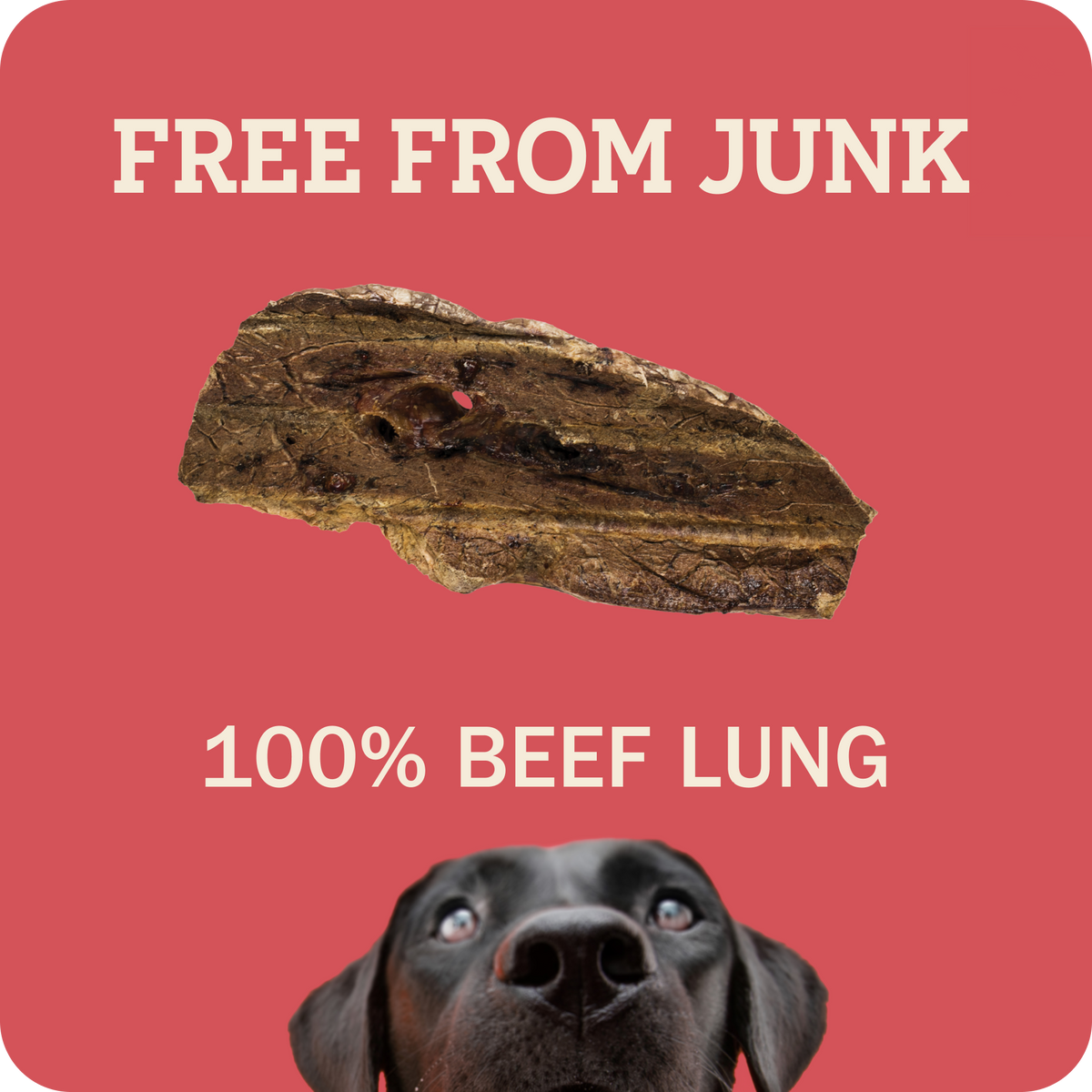 Redbarn Choppers in a red background, cream text reading 'FREE FROM JUNK' at the top and '100% BEEF LUNG'.  The bottom shows the top of a black dog's face.