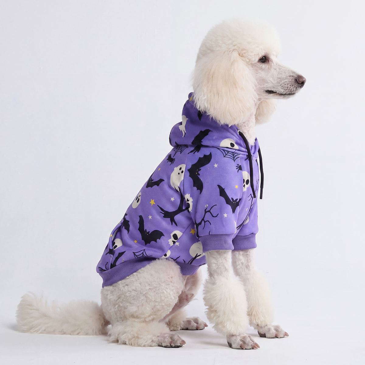 Halloween Dog Hoodie, Halloween Purple Hoodie / 2XL