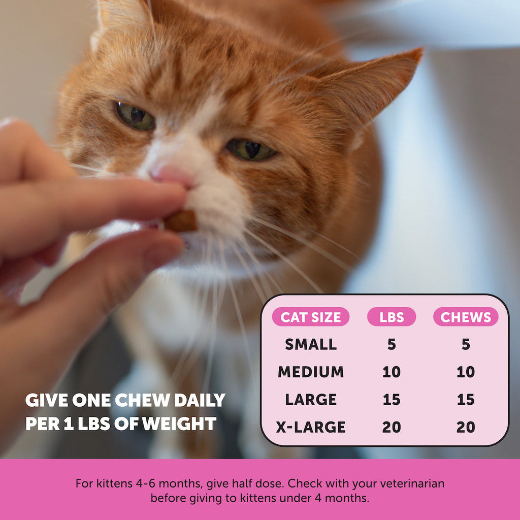 Cat Multivitamin dual-textured single-pack