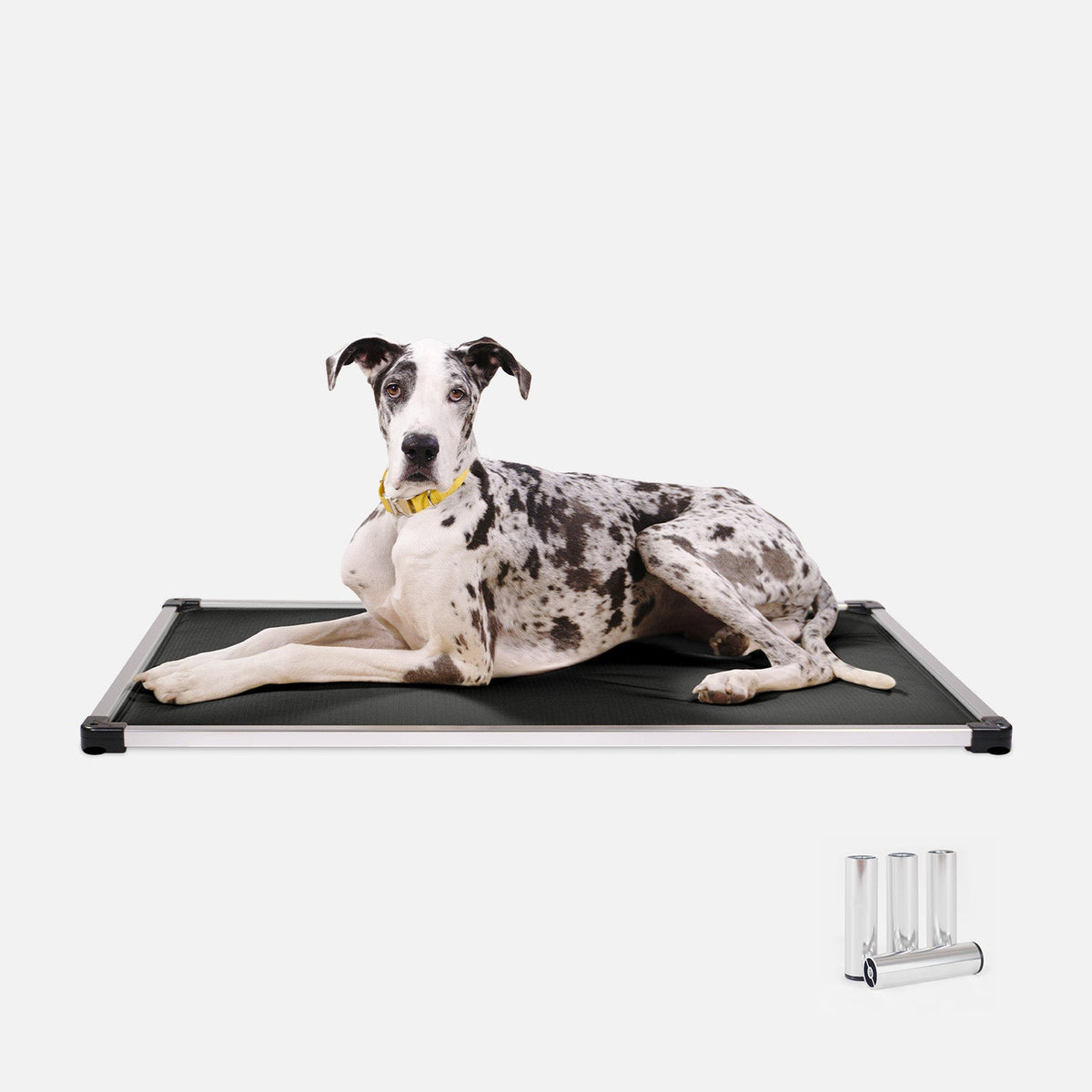 Chew-Resistant Padded Elevated Dog Crate Bed with Aluminum Frame in Five Sizes and Four Colors product image 6