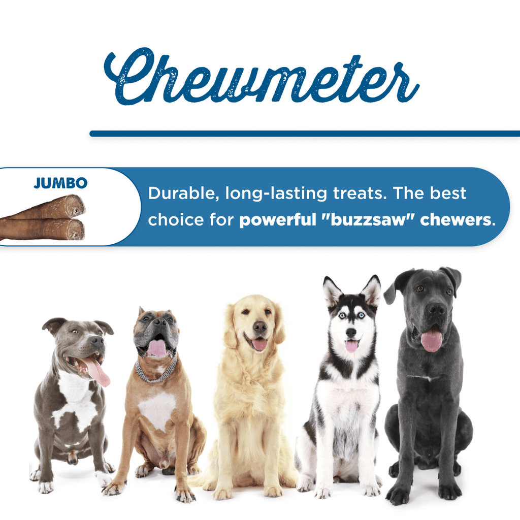Five large dog breeds sit in a row below a label for Best Bully Sticks 12-Inch Jumbo Bully Stick, a durable treat recommended for power chewers that also supports dog dental health.