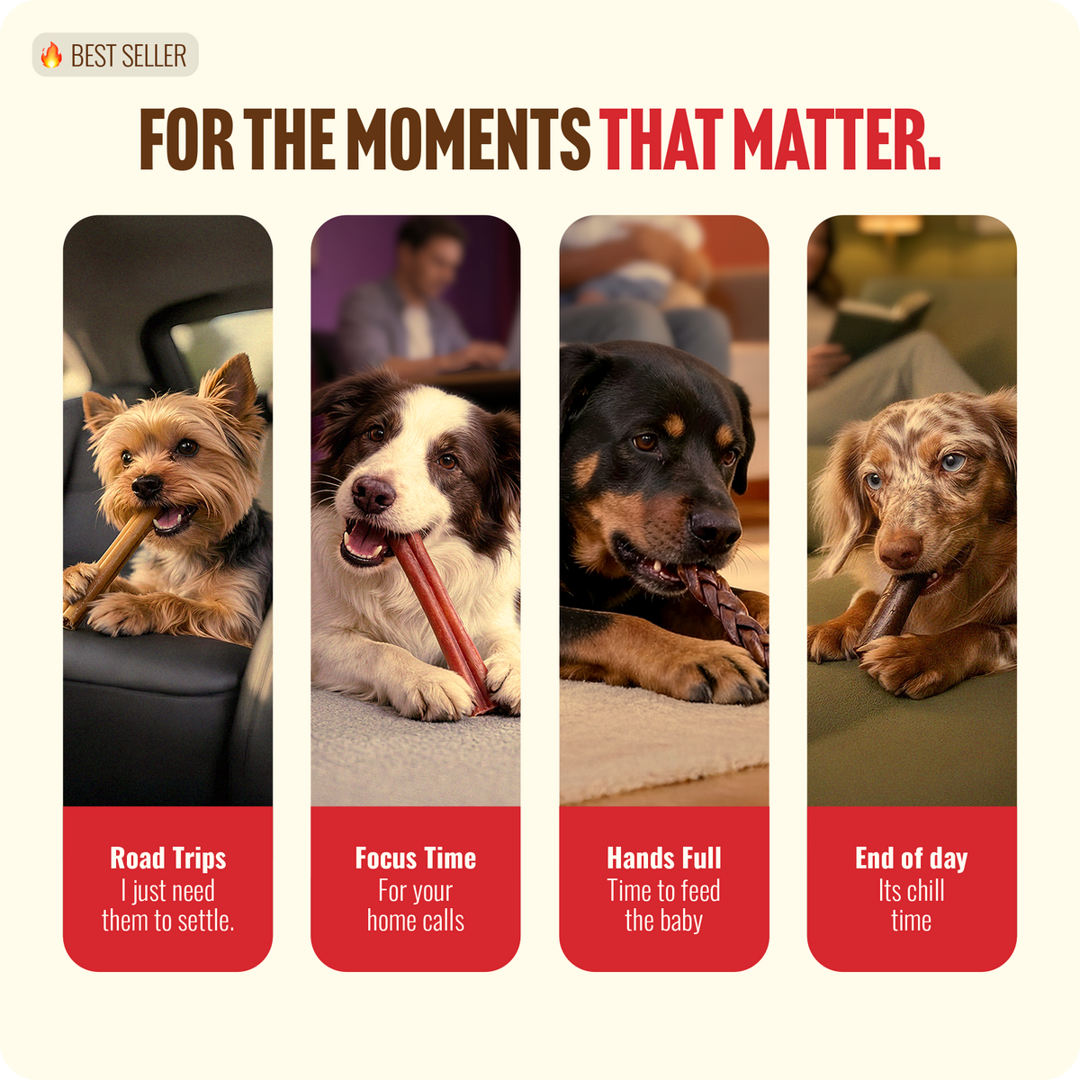Dogs enjoying Natural Farm Cold-Dried bully sticks during car rides, work calls, busy parenting, and evening relaxation