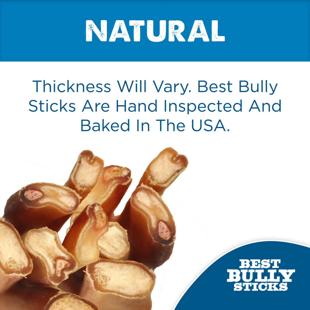 A close-up of the 12-Inch Jumbo Bully Stick by Best Bully Sticks—ideal for power chewers needing a long-lasting dog chew.