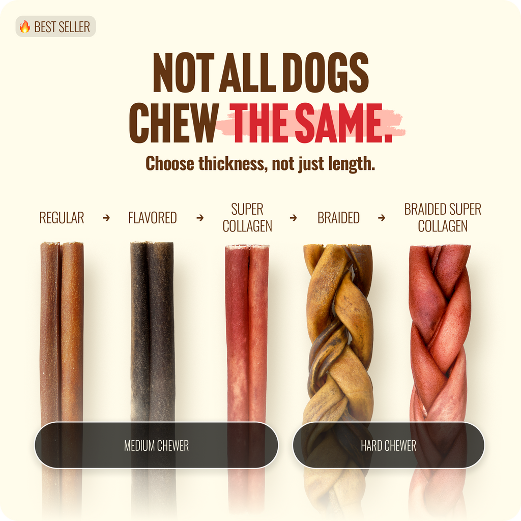 Natural Farm bully sticks comparison by thickness — regular, flavored, super collagen, braided, and braided super collagen for medium to hard chewers