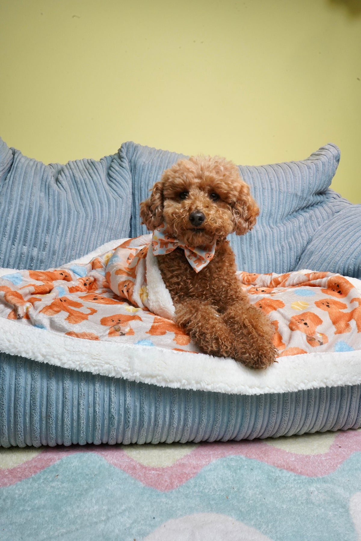 Curly-Print Dog Blanket product image 1