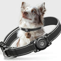 Reflective Dog Collar with AirTag Holder – Padded Durable Collar for Small, Medium & Large Dogs | S, M, L, XL | 6 Colors