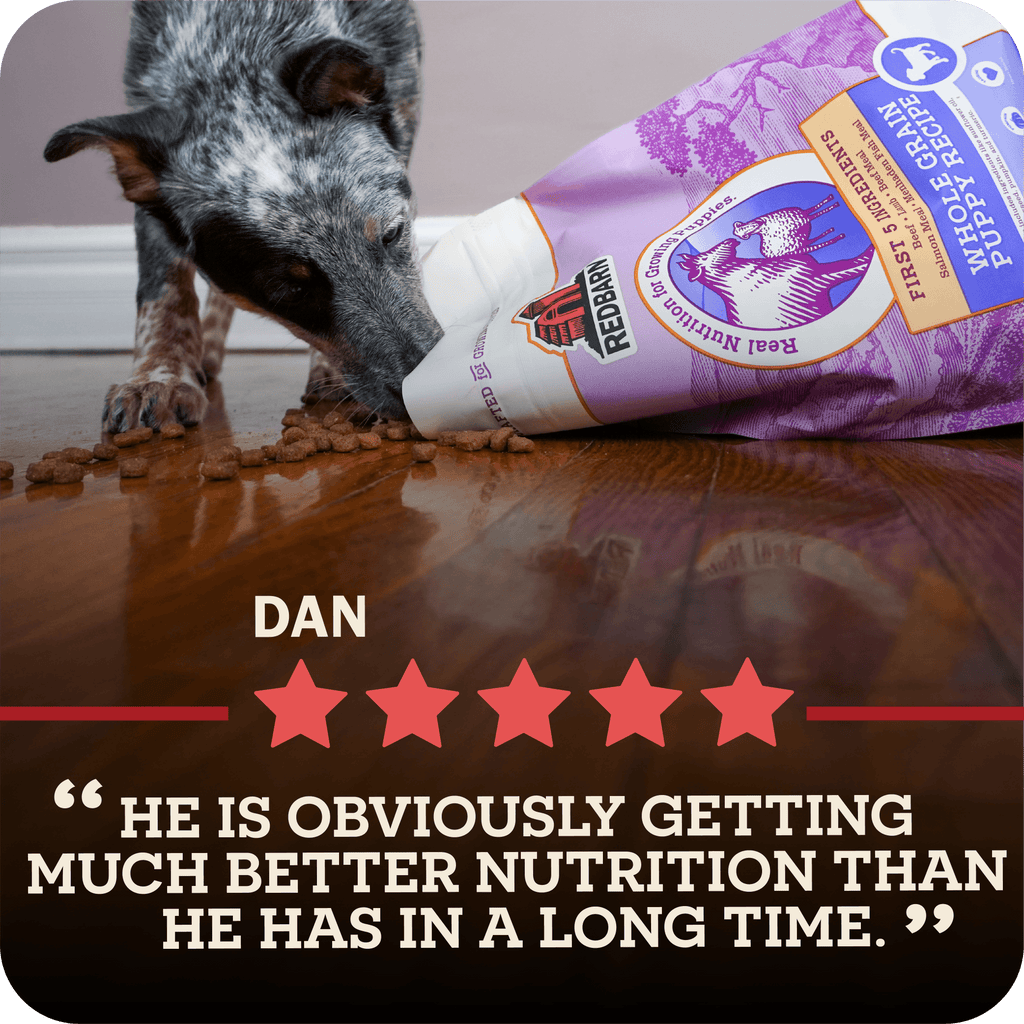 Dog eating from a bag of Redbarn puppy food with a five-star rating and review text.