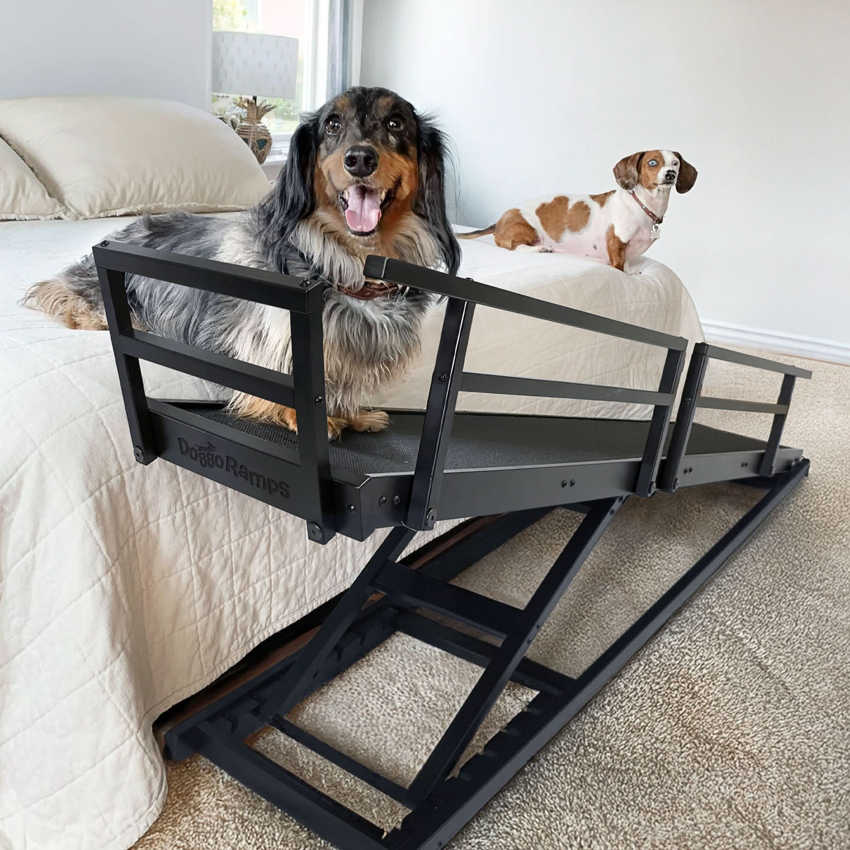 Adjustable Solid Maple Dog Ramp for Beds from 12 to 37 Inches High with Side Rails and Non-Slip Traction product image 10