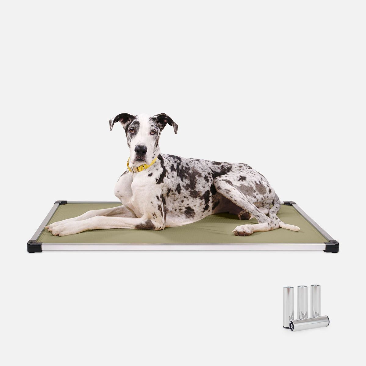 Chew-Resistant Padded Elevated Dog Crate Bed with Aluminum Frame in Five Sizes and Four Colors product image 11