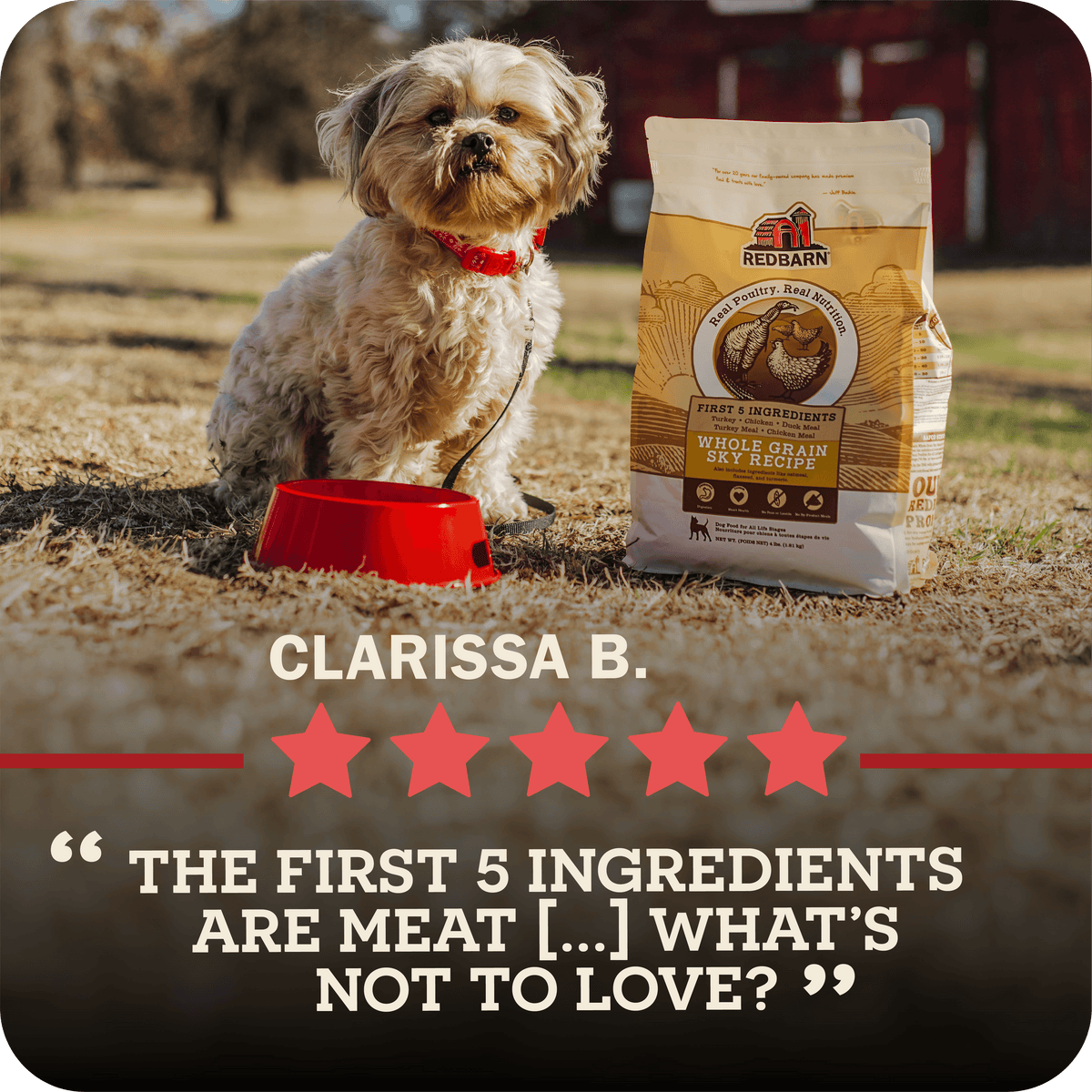 Dog sitting next to a bag of Redbarn dog food with a five-star rating and review text.