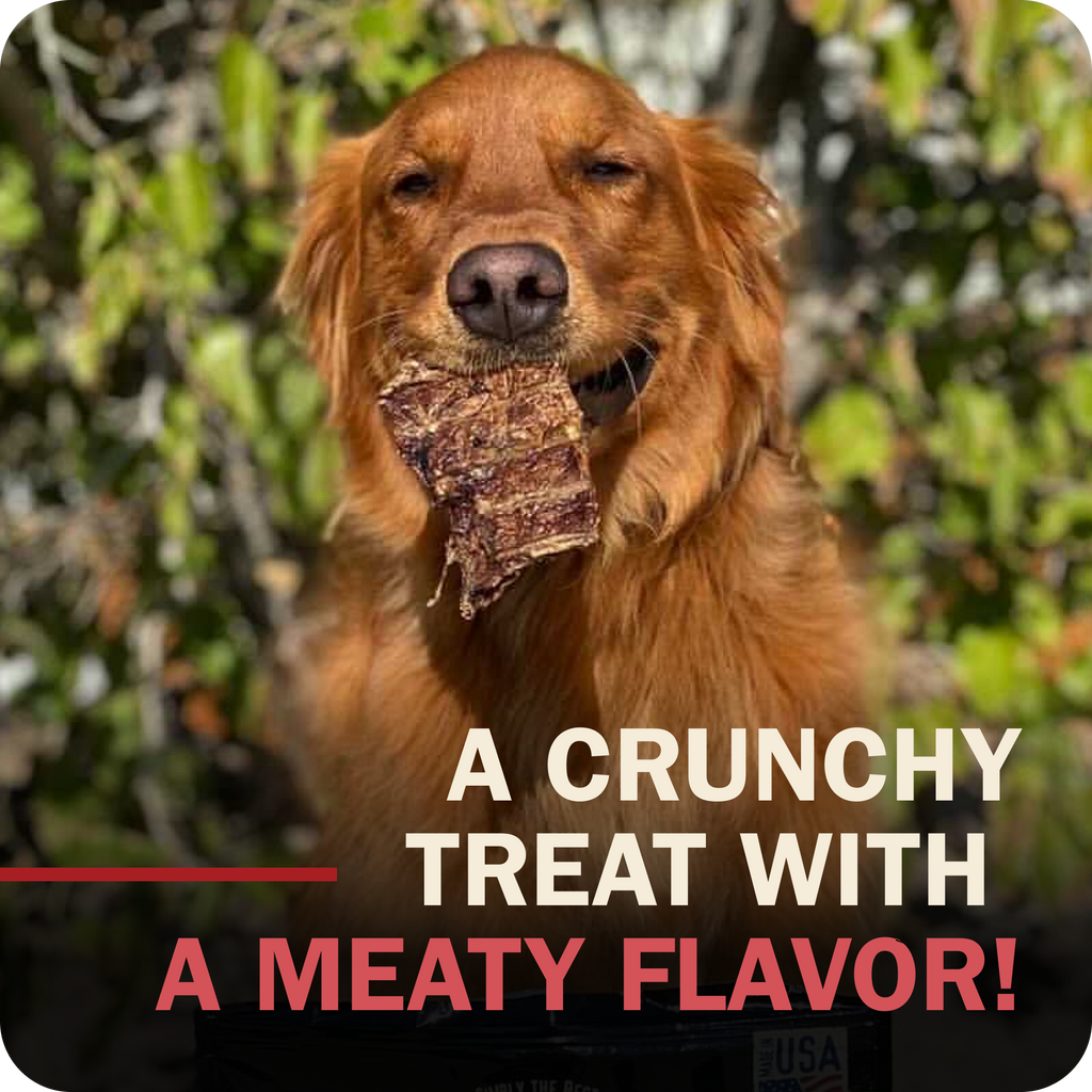 A golden retriever dog holding a piece of Redbarn Chopper in its mouth, with text overlay reading 'A CRUNCHY TREAT WITH A MEATY FLAVOR!'