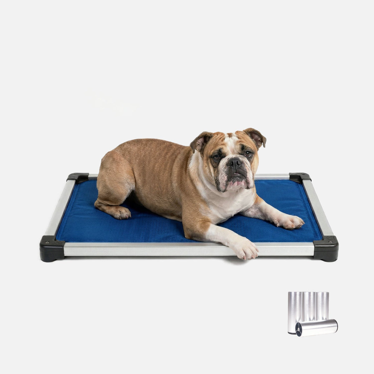 Chew-Resistant Padded Elevated Dog Crate Bed with Aluminum Frame in Five Sizes and Four Colors product image 13