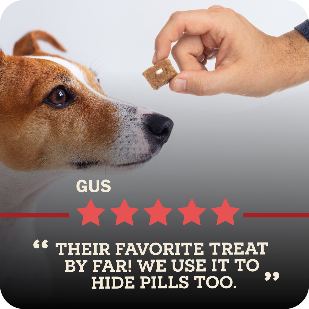 Dog looking at a treat held by a hand with a five-star rating and text below.