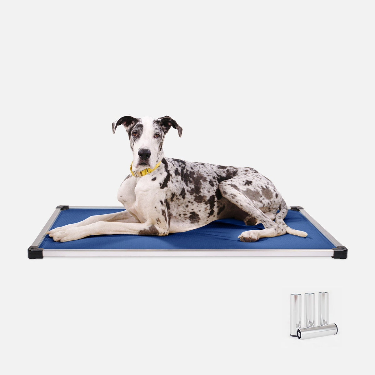 Chew-Resistant Padded Elevated Dog Crate Bed with Aluminum Frame in Five Sizes and Four Colors product image 15
