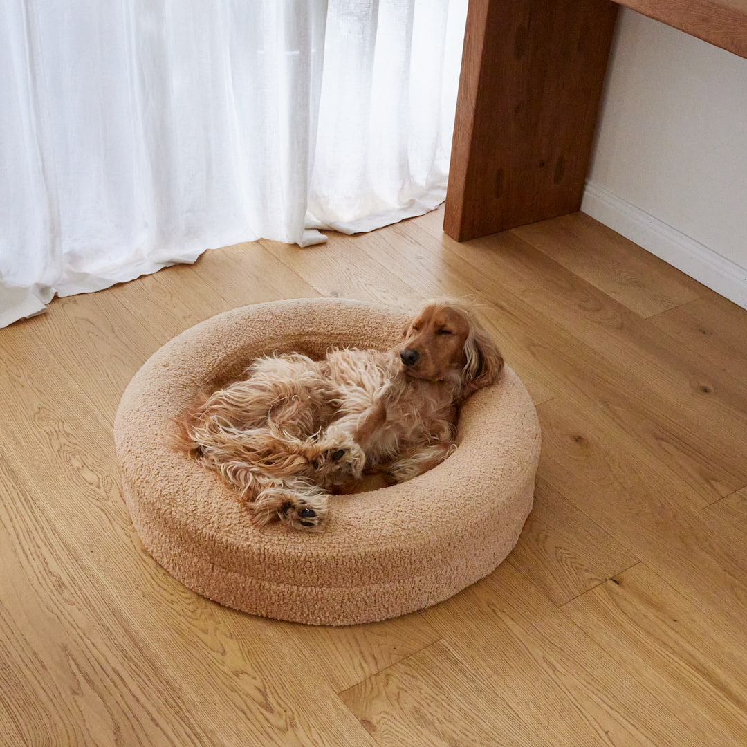 Round Orthopaedic Dog Bed Rice Pudding / M