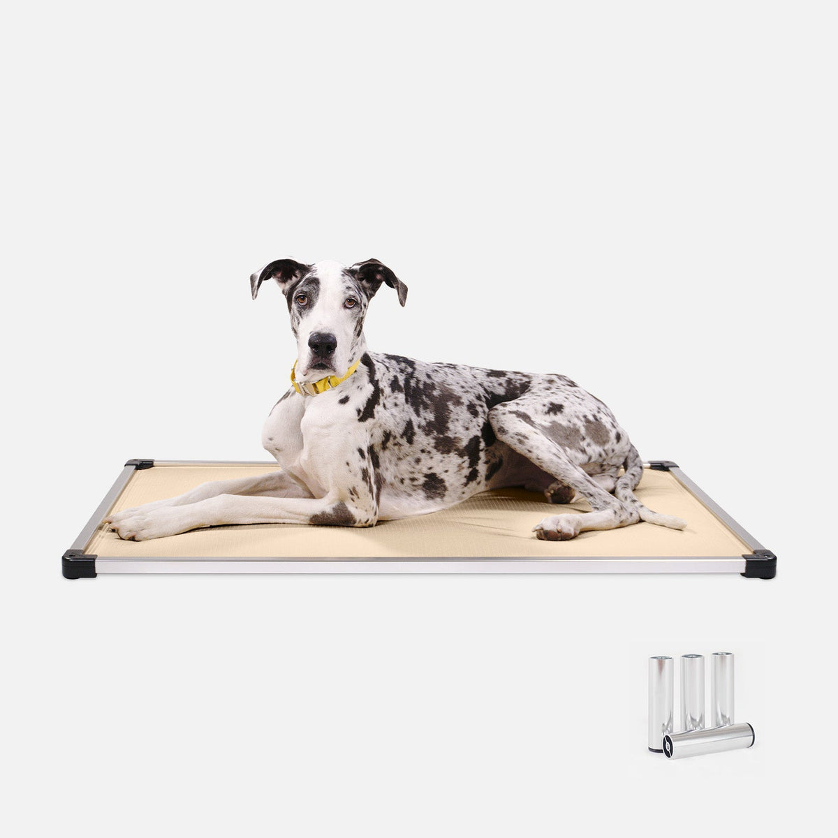 Chew-Resistant Padded Elevated Dog Crate Bed with Aluminum Frame in Five Sizes and Four Colors product image 20