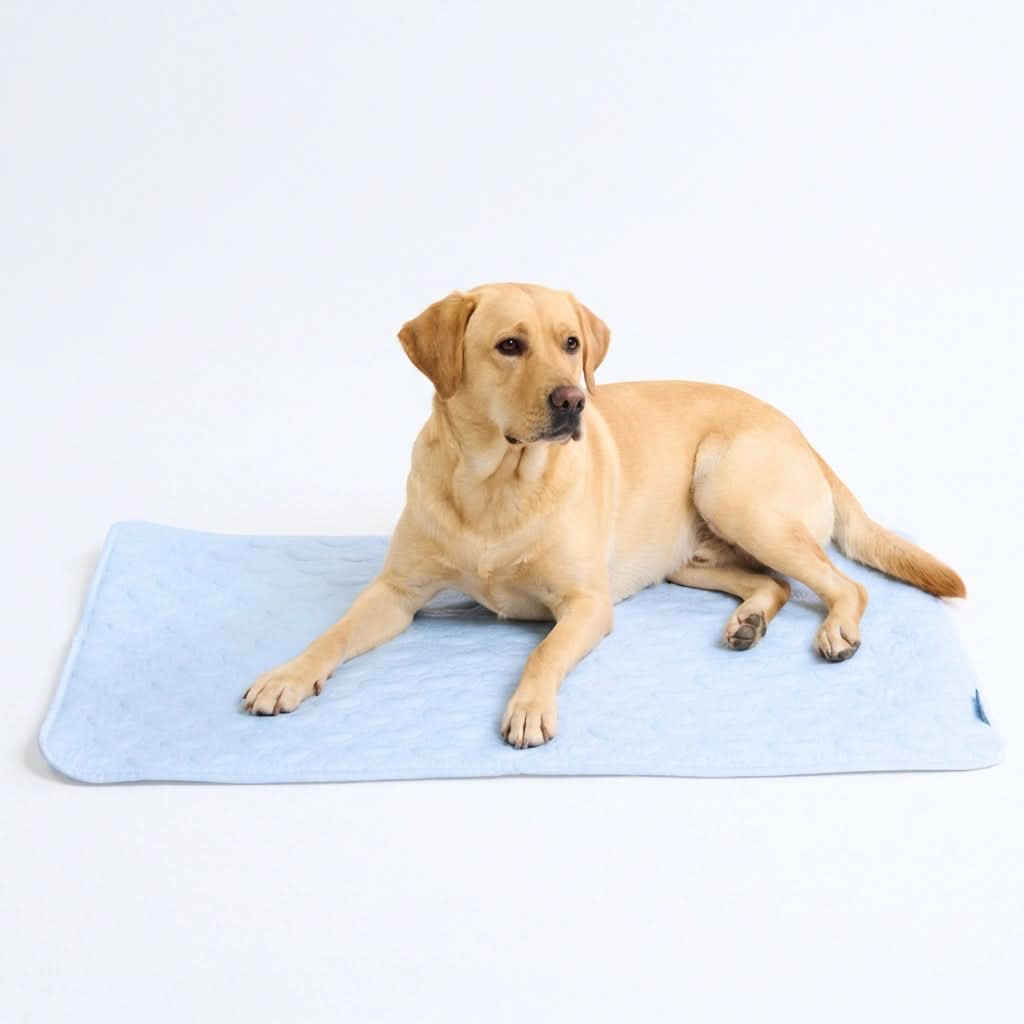 Breathable Cooling Dog Mat Hearts Blue / 2XL