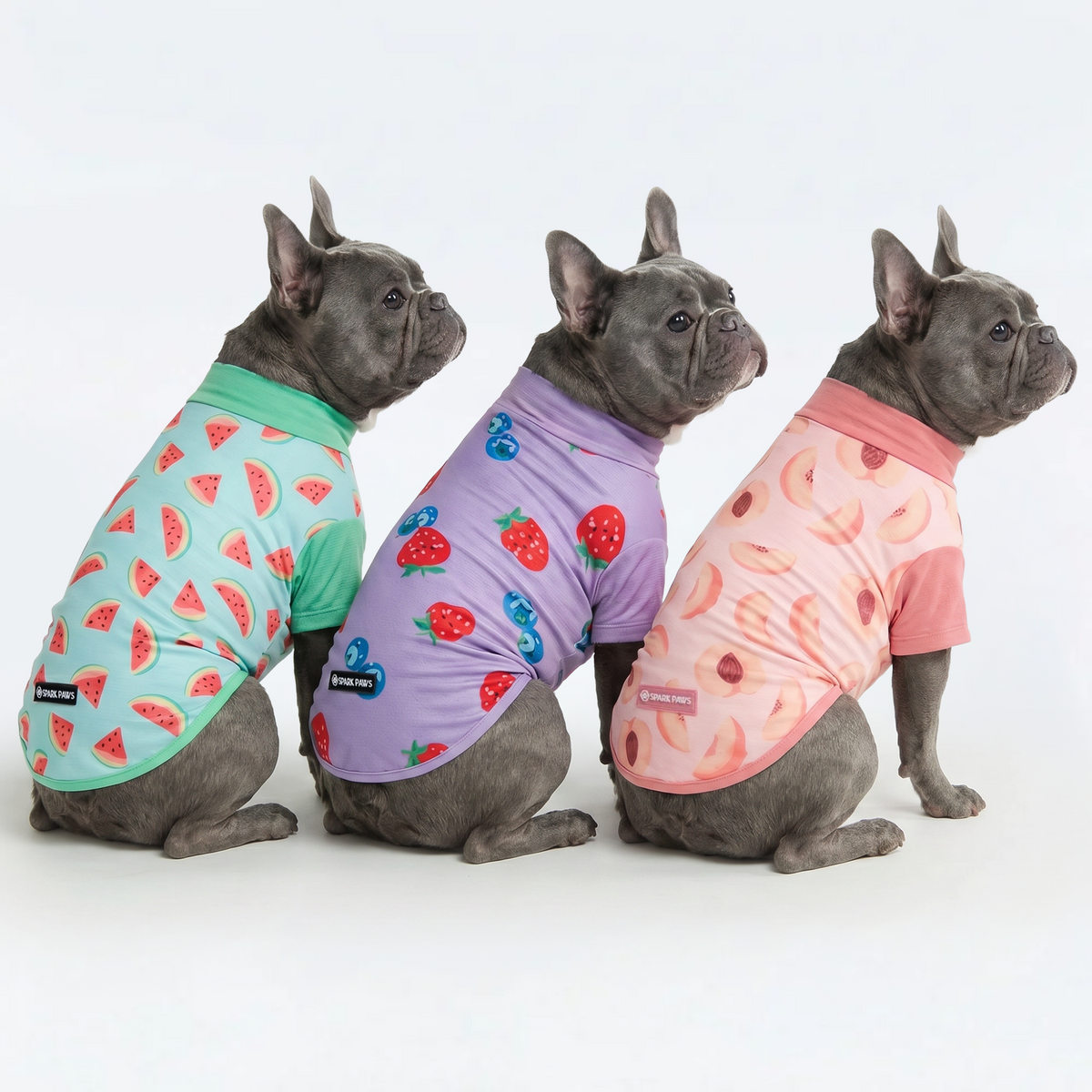 UPF 30 Dog Sun Shirt, Watermelon Berries Peaches / L