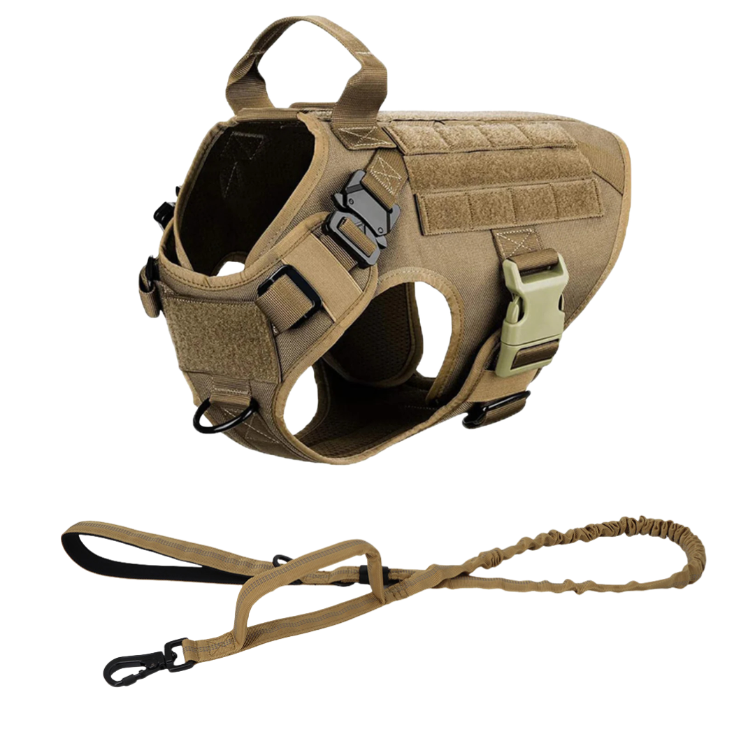 Heavy-Duty Tactical No-Pull Dog Harness with Dual D-Ring Control and Quick-Release Metal Buckles product image 37