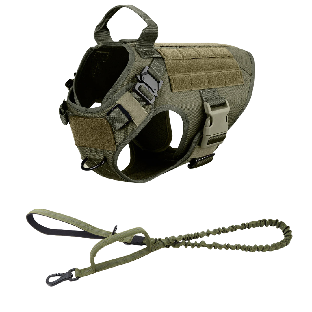 Heavy-Duty Tactical No-Pull Dog Harness with Dual D-Ring Control and Quick-Release Metal Buckles product image 39