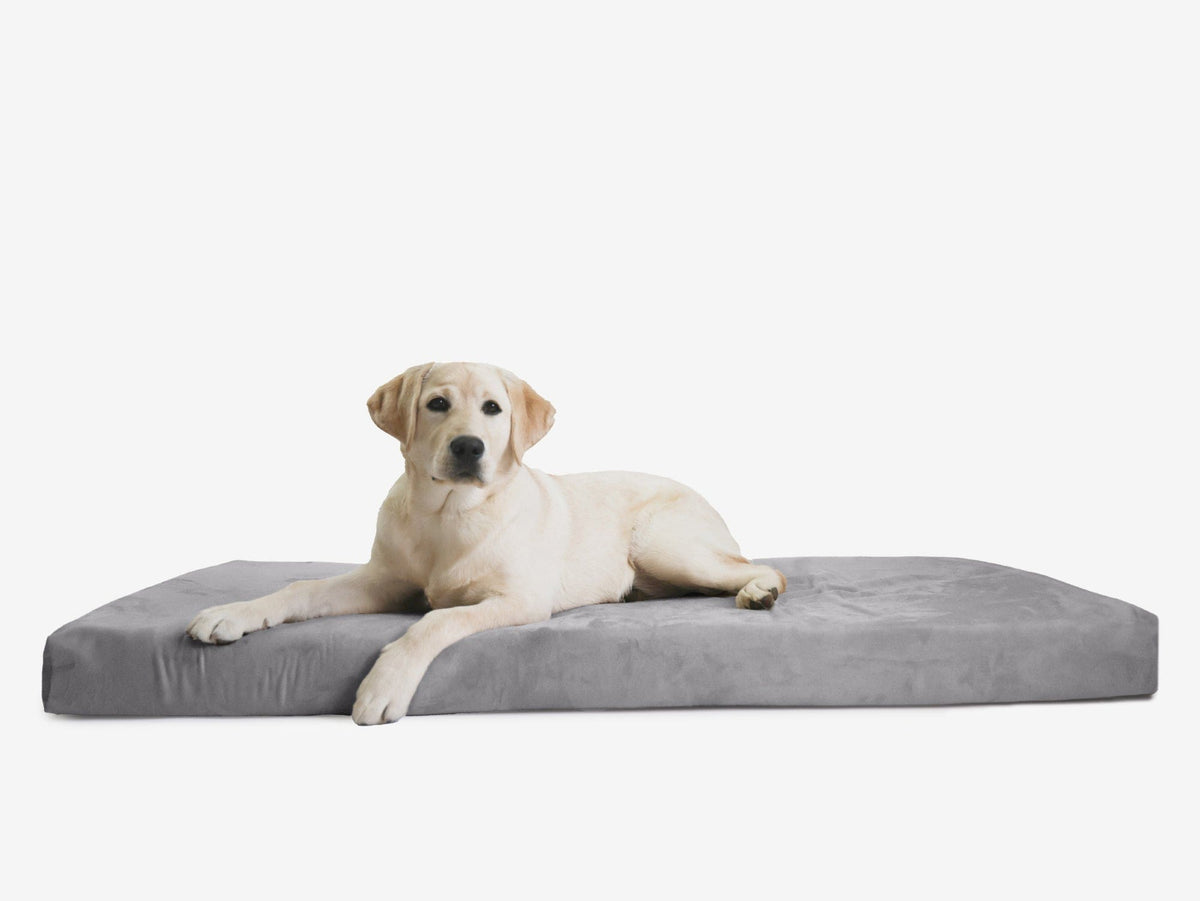Orthopedic Dog Crate Bed XXL - 50" X 32" X 4" / Charcoal Gray