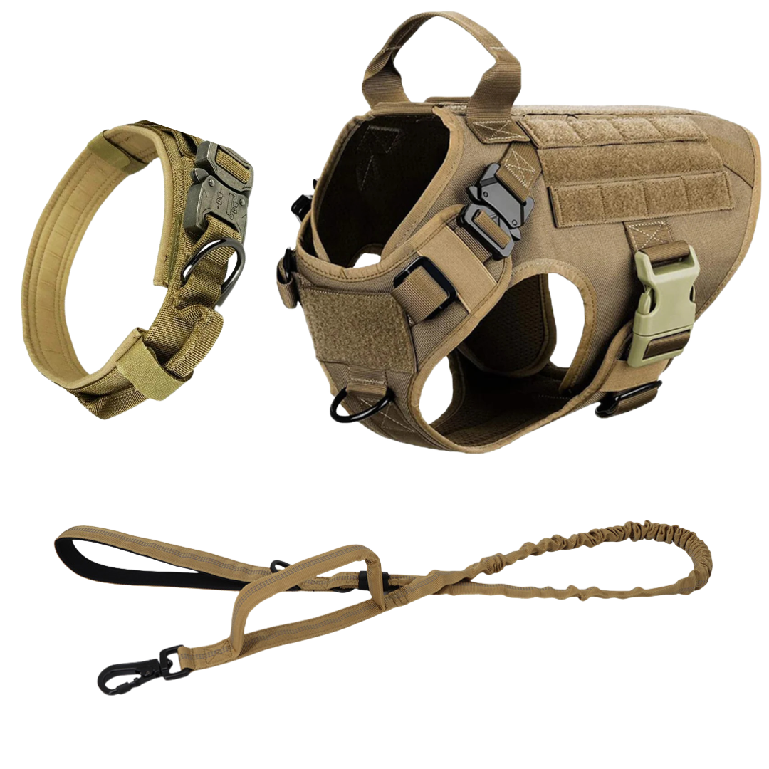 Heavy-Duty Tactical No-Pull Dog Harness with Dual D-Ring Control and Quick-Release Metal Buckles product image 42