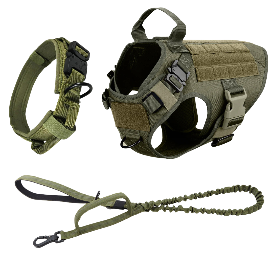 Heavy-Duty Tactical No-Pull Dog Harness with Dual D-Ring Control and Quick-Release Metal Buckles product image 44