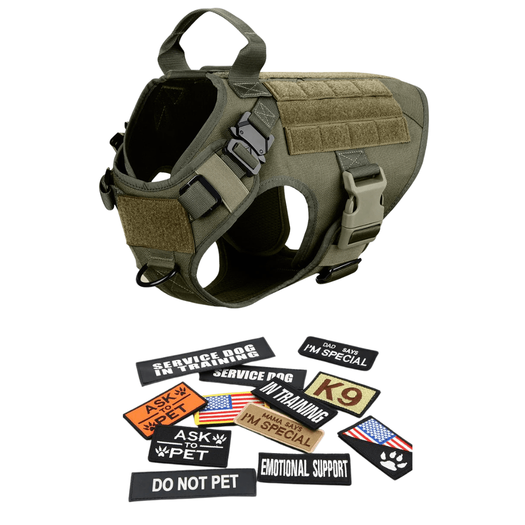 Heavy-Duty Tactical No-Pull Dog Harness with Dual D-Ring Control and Quick-Release Metal Buckles product image 49