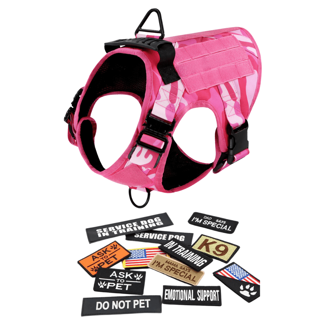 Heavy-Duty Tactical No-Pull Dog Harness with Dual D-Ring Control and Quick-Release Metal Buckles product image 50