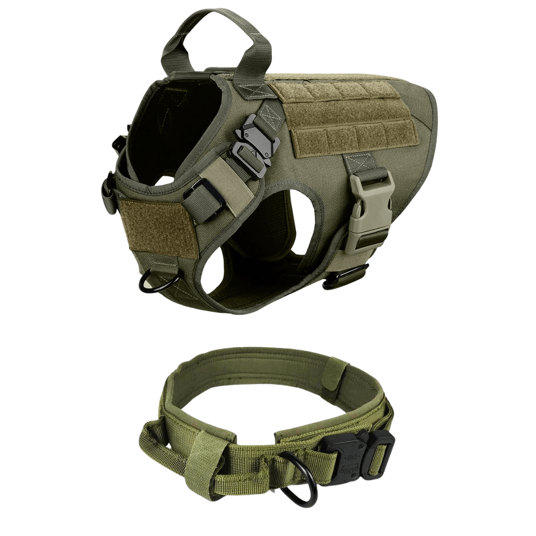 Heavy-Duty Tactical No-Pull Dog Harness with Dual D-Ring Control and Quick-Release Metal Buckles product image 54