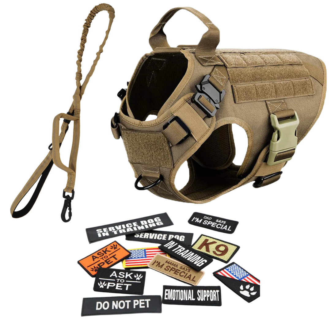 Heavy-Duty Tactical No-Pull Dog Harness with Dual D-Ring Control and Quick-Release Metal Buckles product image 57