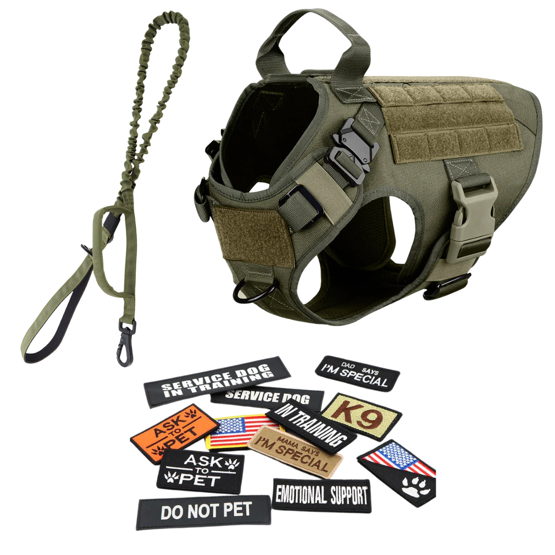 Heavy-Duty Tactical No-Pull Dog Harness with Dual D-Ring Control and Quick-Release Metal Buckles product image 58