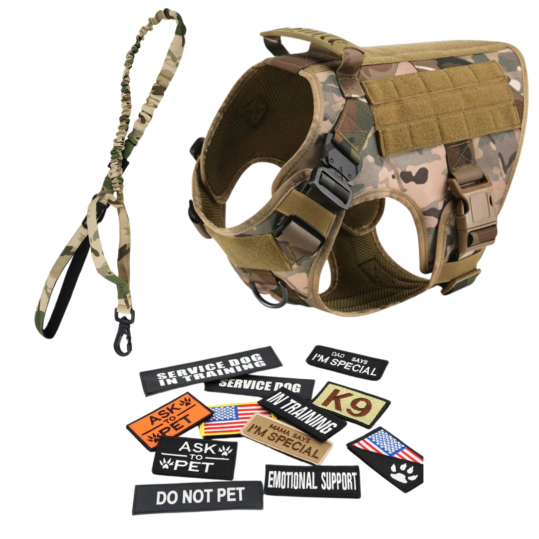 Heavy-Duty Tactical No-Pull Dog Harness with Dual D-Ring Control and Quick-Release Metal Buckles product image 59