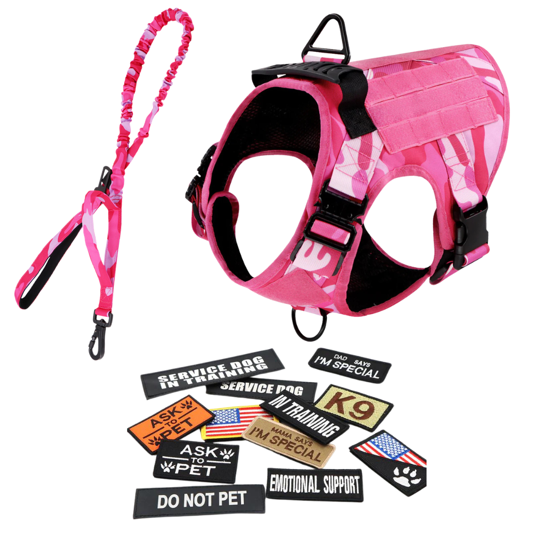 Heavy-Duty Tactical No-Pull Dog Harness with Dual D-Ring Control and Quick-Release Metal Buckles product image 60