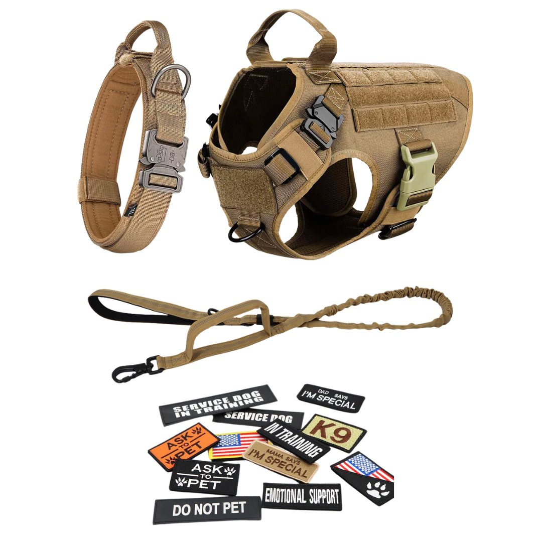 Heavy-Duty Tactical No-Pull Dog Harness with Dual D-Ring Control and Quick-Release Metal Buckles product image 62