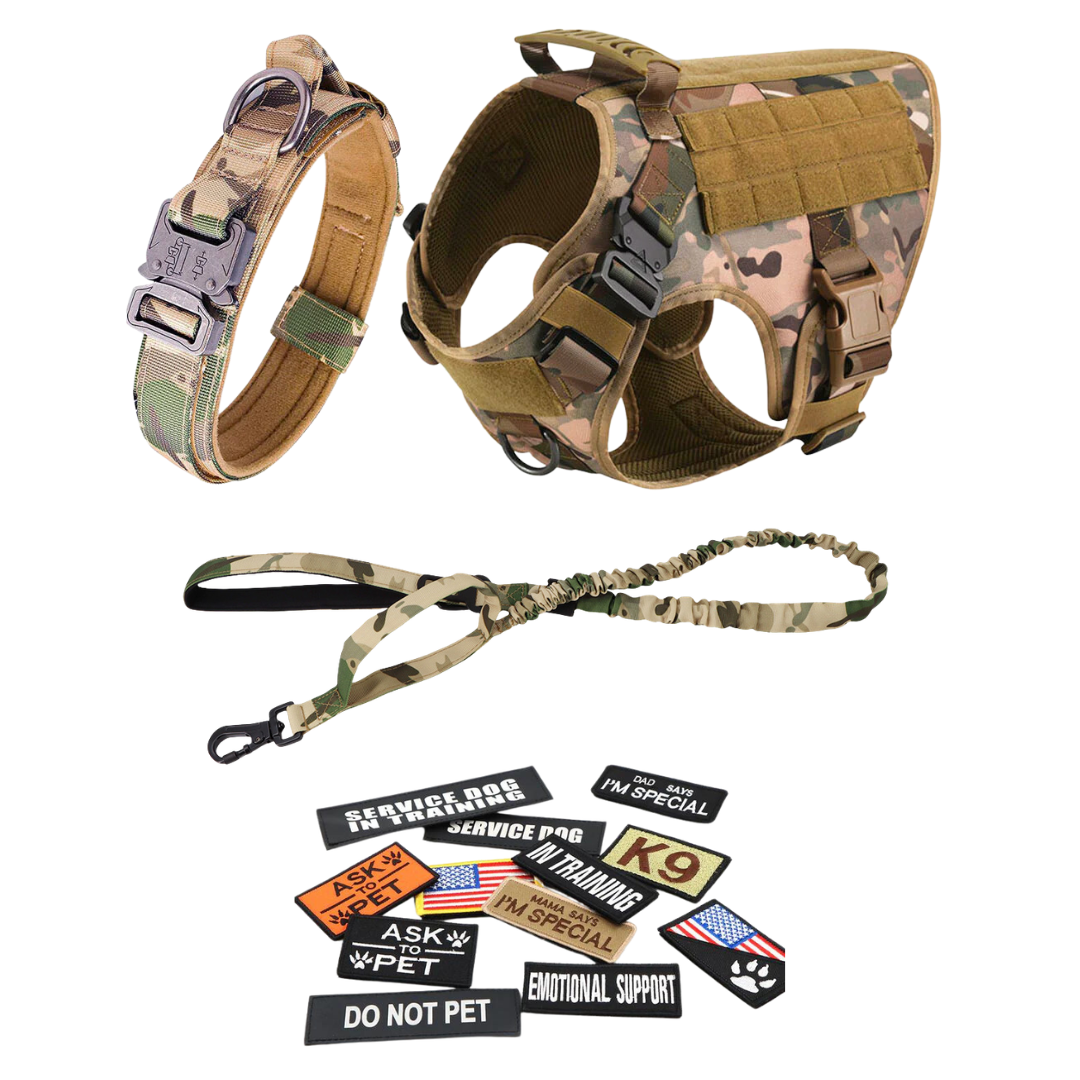 Heavy-Duty Tactical No-Pull Dog Harness with Dual D-Ring Control and Quick-Release Metal Buckles product image 63
