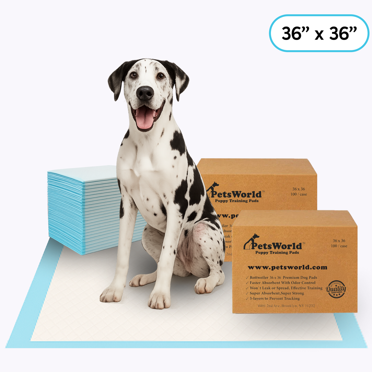 Extra-Large Dog Training Pads 200 Count / Unscented
