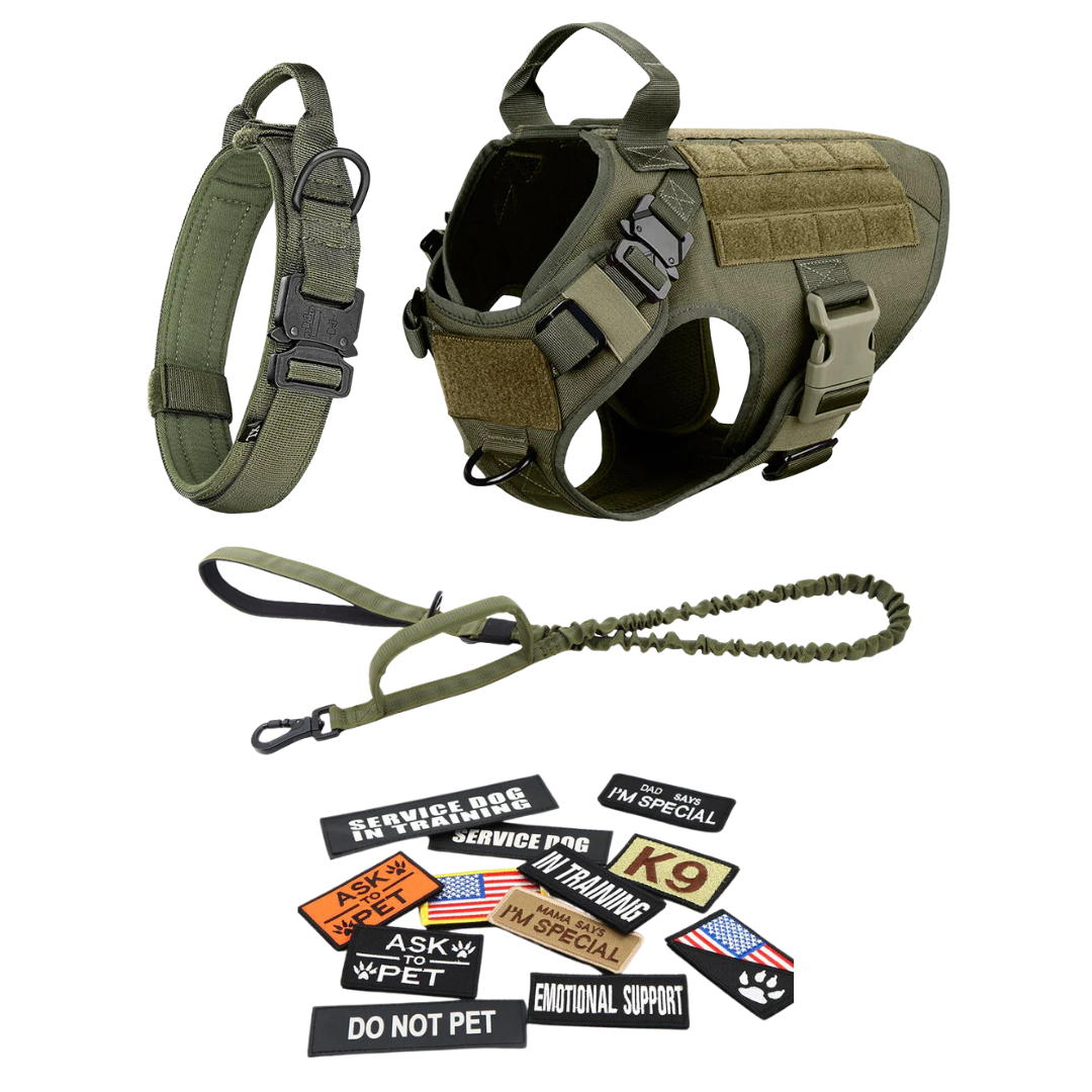 Heavy-Duty Tactical No-Pull Dog Harness with Dual D-Ring Control and Quick-Release Metal Buckles product image 64