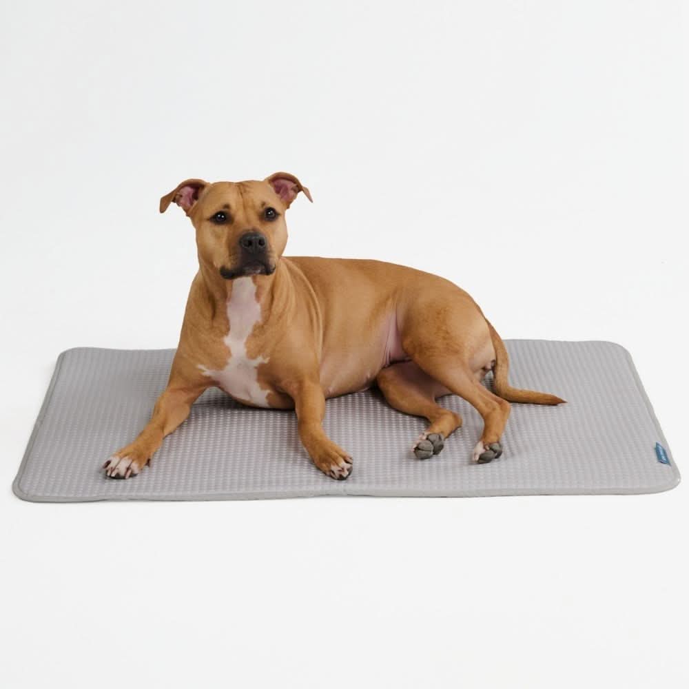 Breathable Cooling Dog Mat Waffle Grey / L