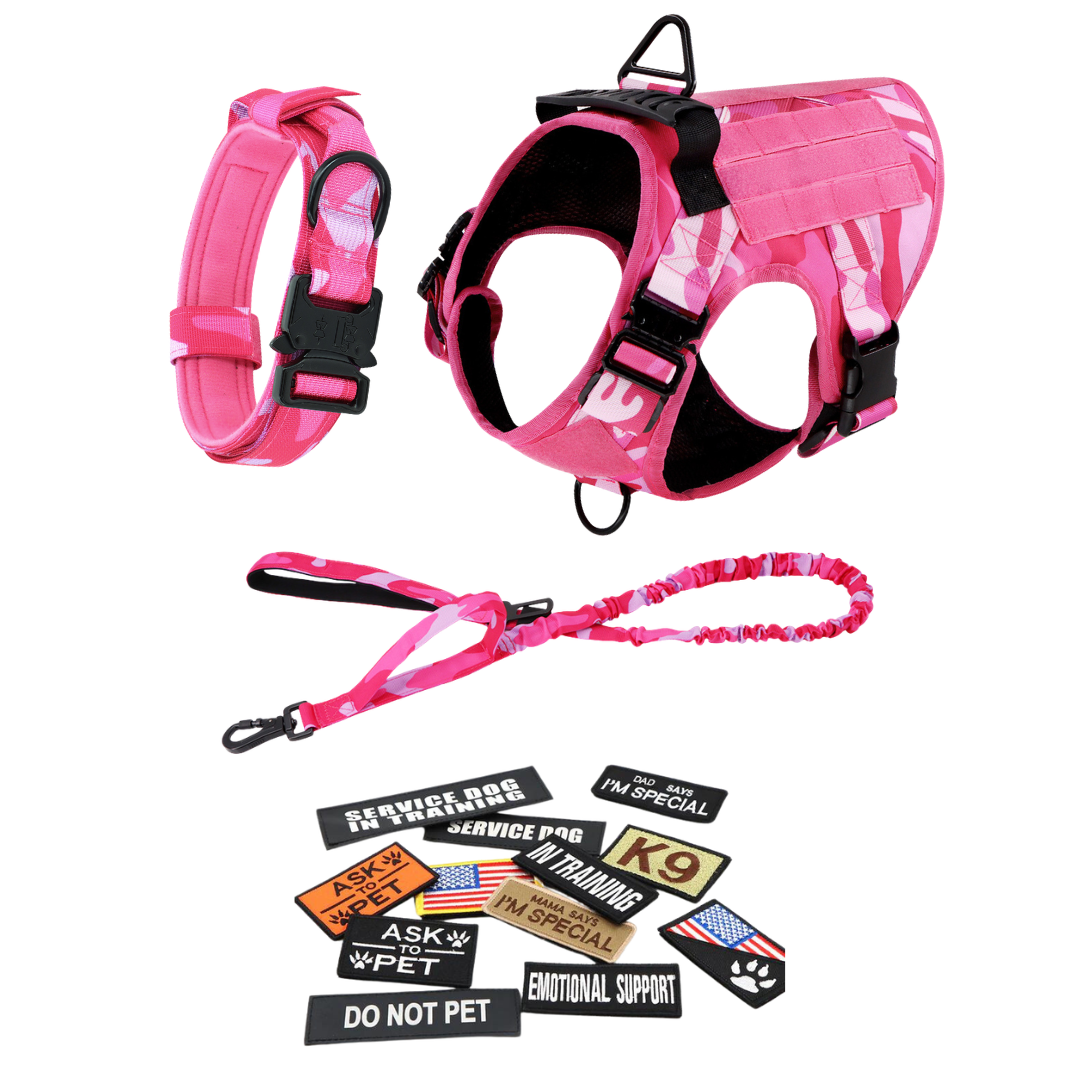 Heavy-Duty Tactical No-Pull Dog Harness with Dual D-Ring Control and Quick-Release Metal Buckles product image 65