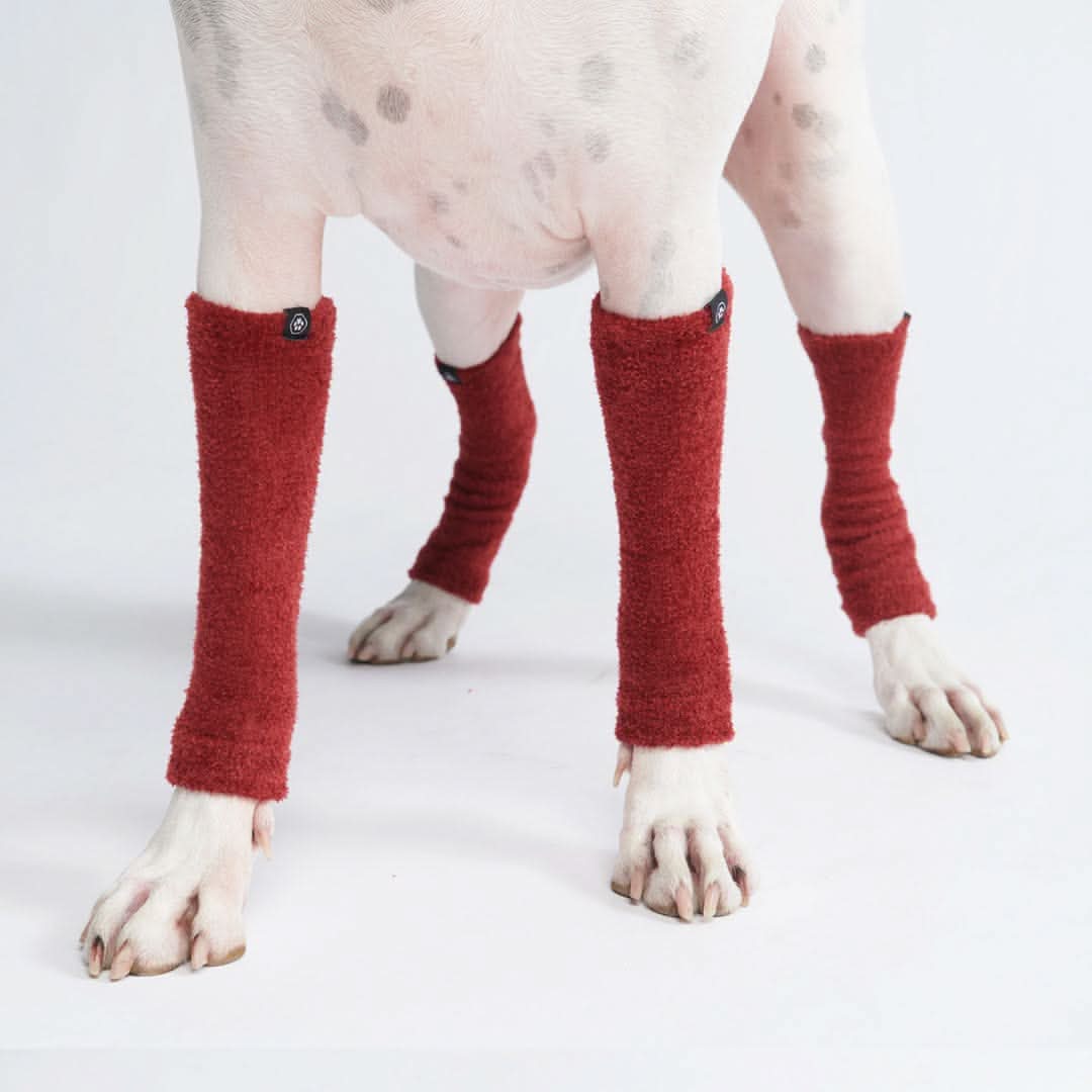 Stretch Fleece Dog Leg Warmers, Leg - Red / S (10-15lbs/4.5-7kg)