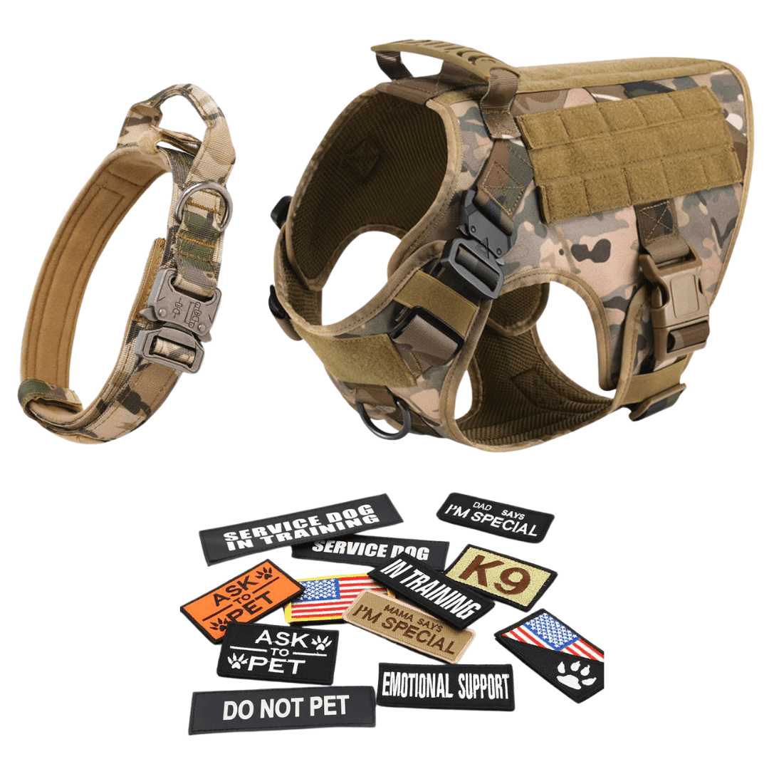 Heavy-Duty Tactical No-Pull Dog Harness with Dual D-Ring Control and Quick-Release Metal Buckles product image 68