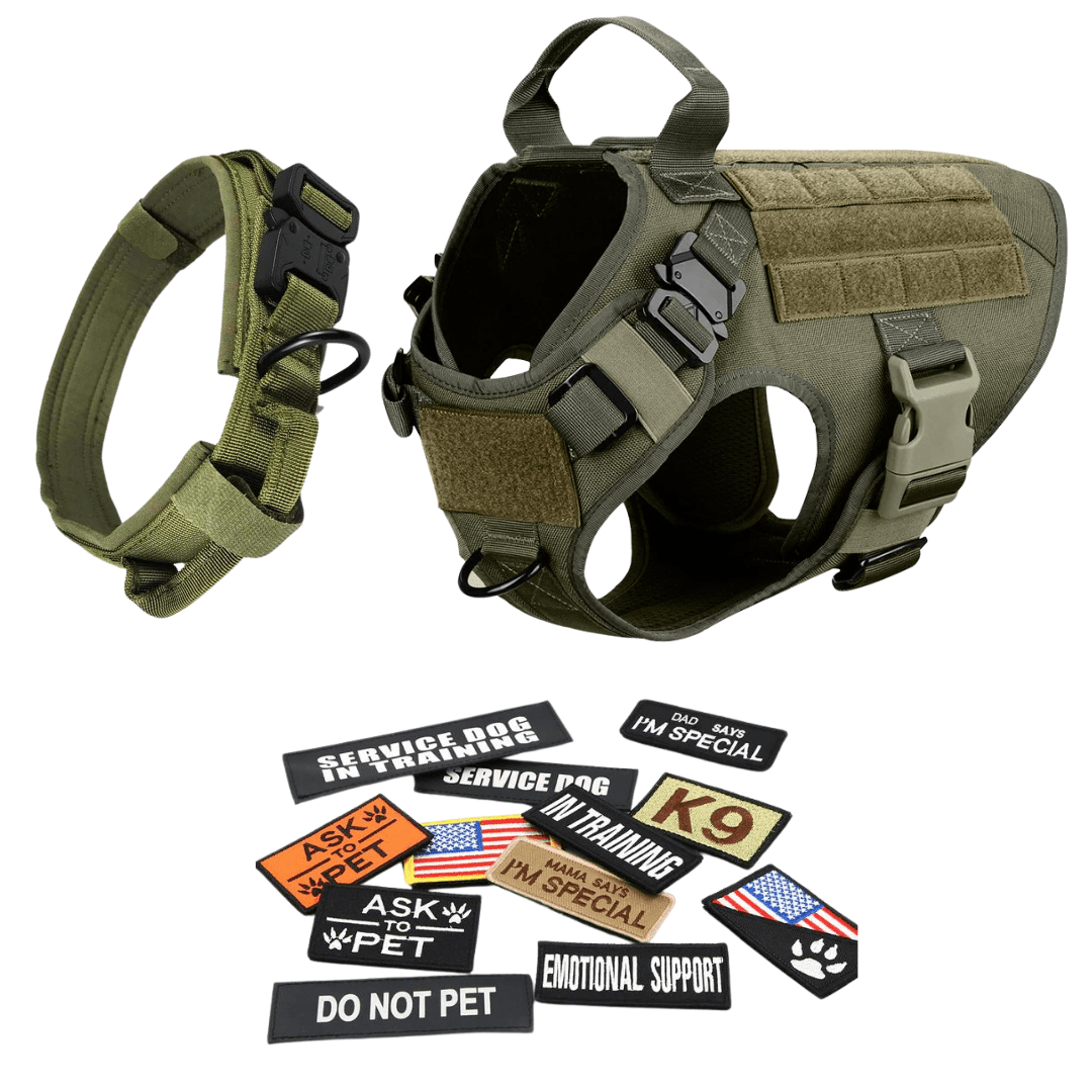 Heavy-Duty Tactical No-Pull Dog Harness with Dual D-Ring Control and Quick-Release Metal Buckles product image 69