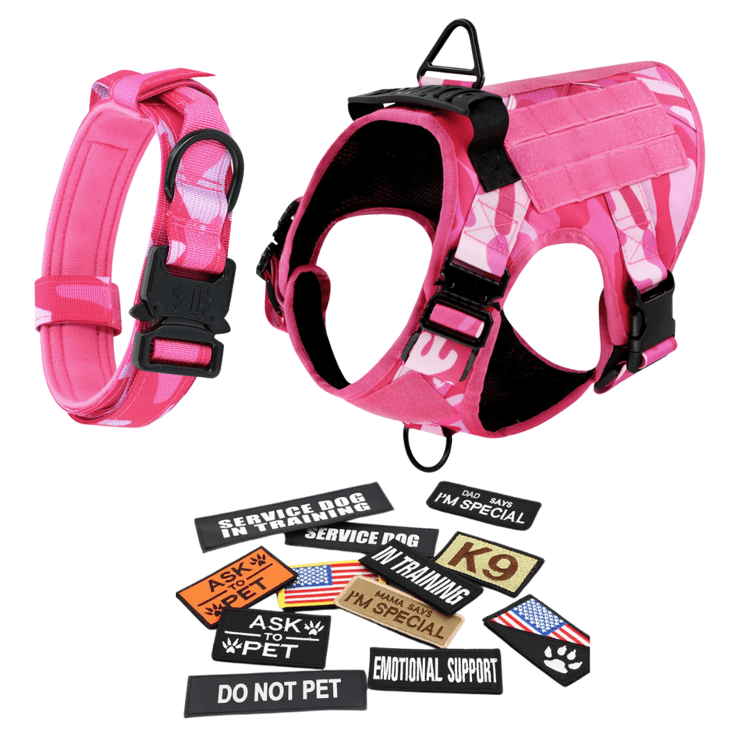 Heavy-Duty Tactical No-Pull Dog Harness with Dual D-Ring Control and Quick-Release Metal Buckles product image 70