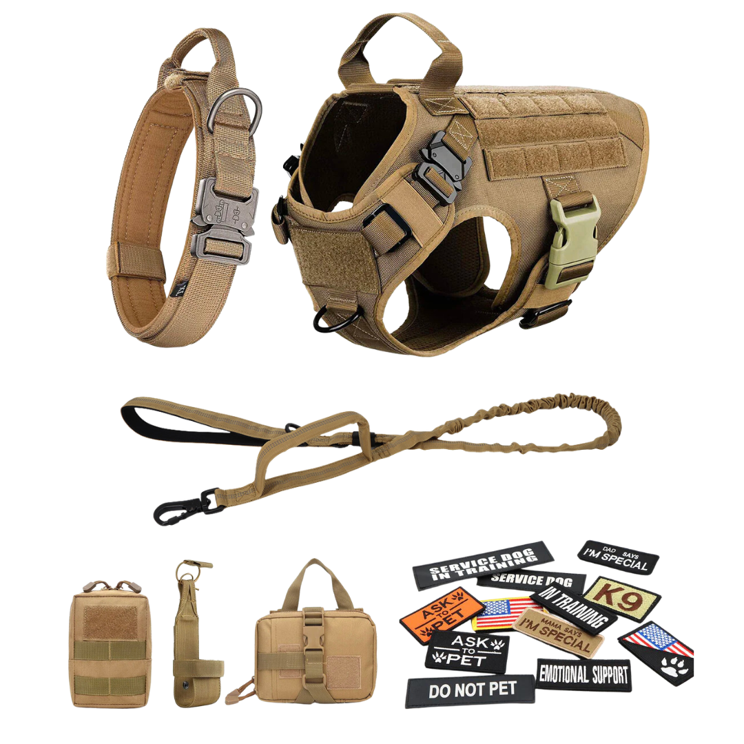 Heavy-Duty Tactical No-Pull Dog Harness with Dual D-Ring Control and Quick-Release Metal Buckles product image 72