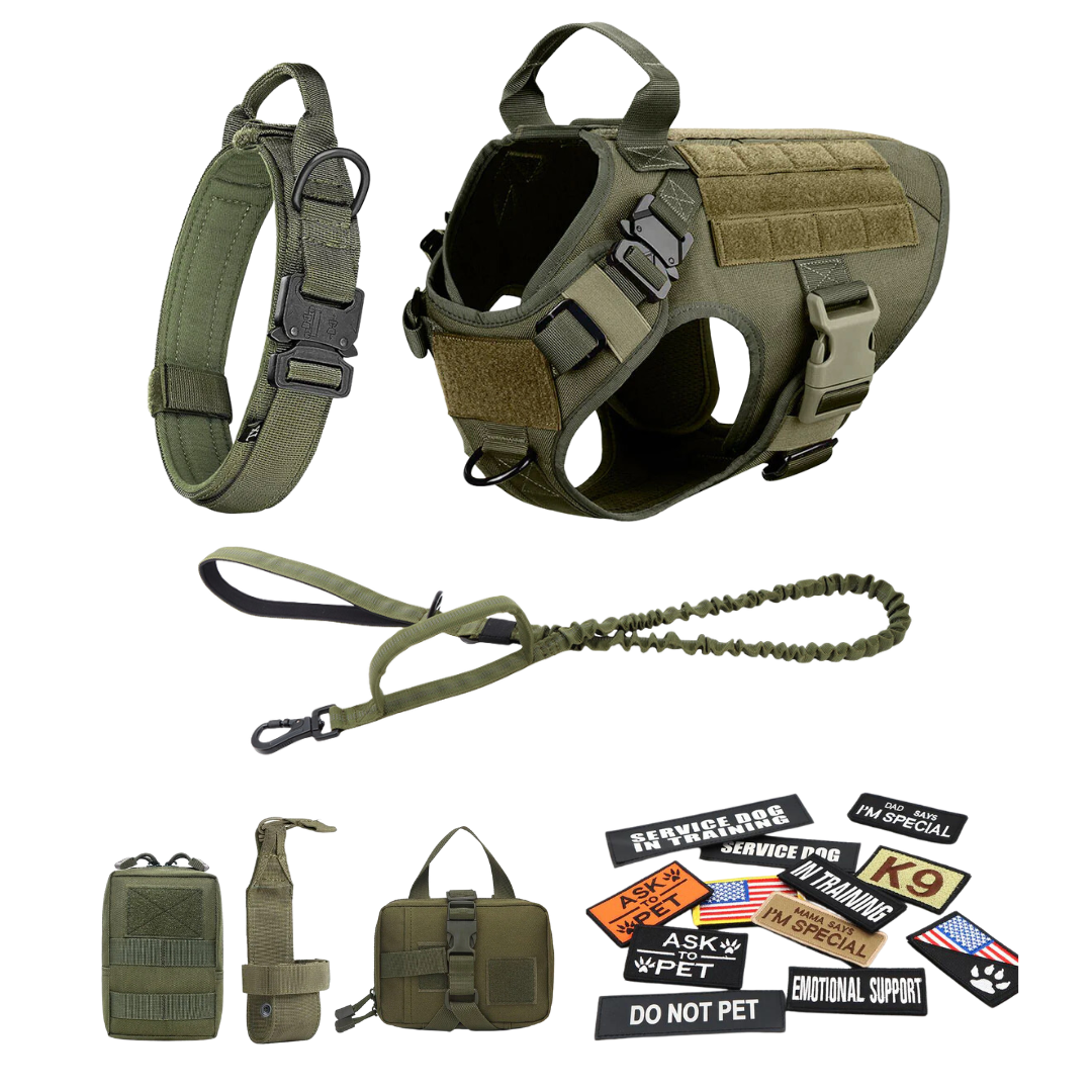 Heavy-Duty Tactical No-Pull Dog Harness with Dual D-Ring Control and Quick-Release Metal Buckles product image 74