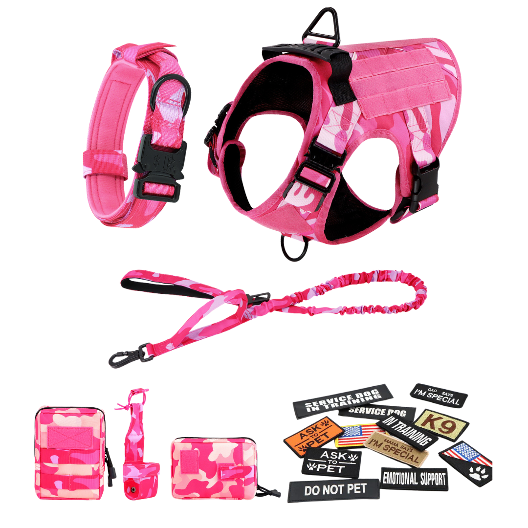Heavy-Duty Tactical No-Pull Dog Harness with Dual D-Ring Control and Quick-Release Metal Buckles product image 75